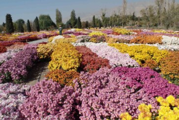 باغ موزه گیاه شناسی تهران