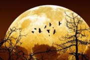 جمع بندی کلیه مقاله های نجومی فصل پنجم – ماه و زمین